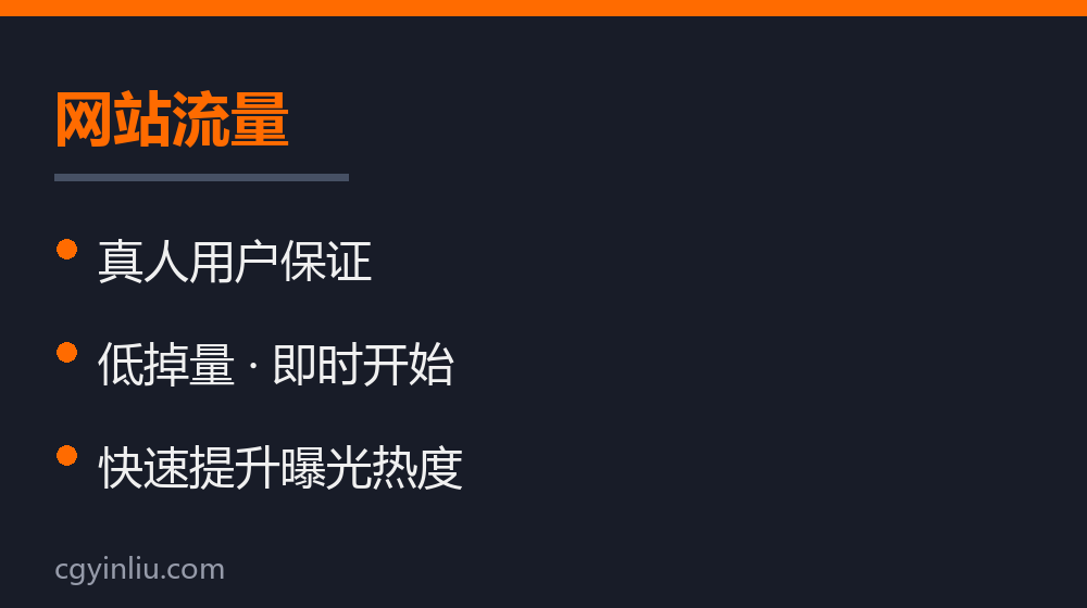 网站流量