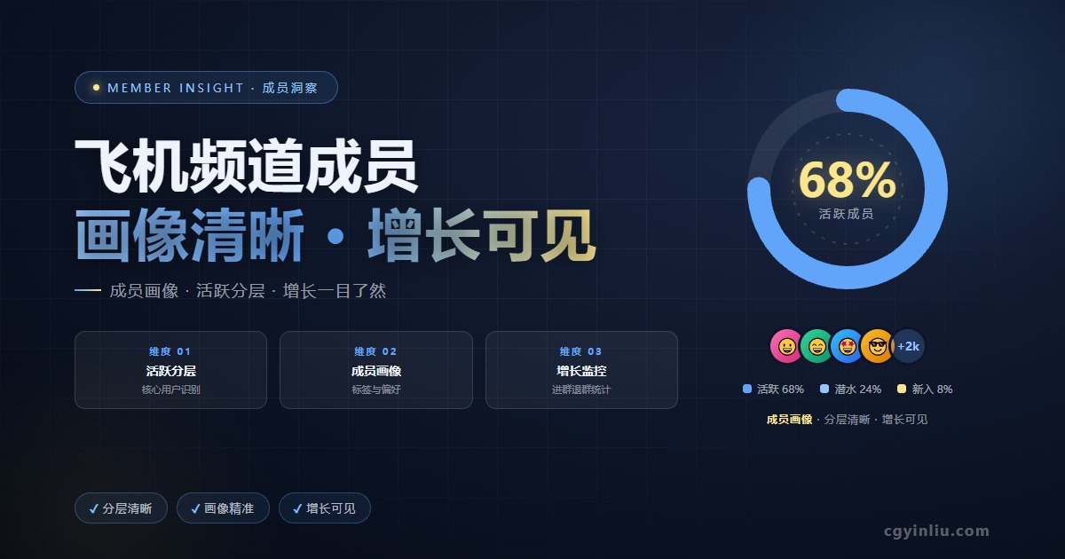 飞机频道成员增长全解析封面图 - cgyinliu.com