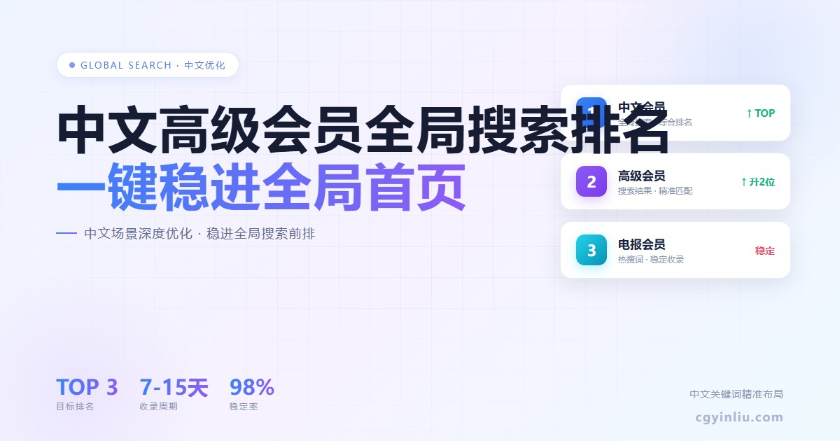 中文高级会员全局搜索排名 - 中文场景搜索优化教程封面