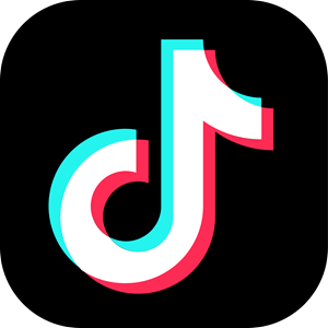 TikTok Followers