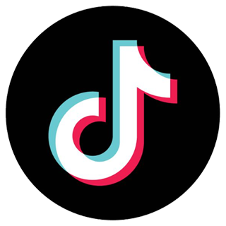 TikTok Views + Likes🔥