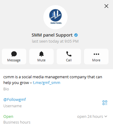 Example of a Telegram business profile