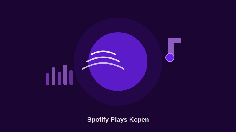 Spotify Plays Kopen