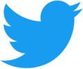 Twitter Followers