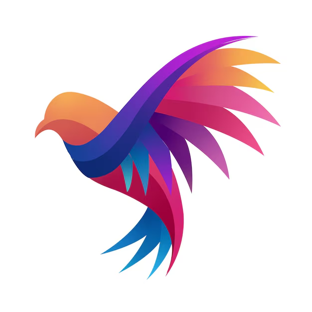 Graphics - SEO Tools