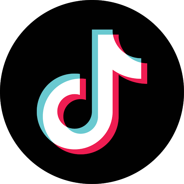 Seguidores TikTok