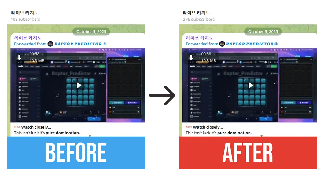 50 Free Telegram Subscribers - Before and After