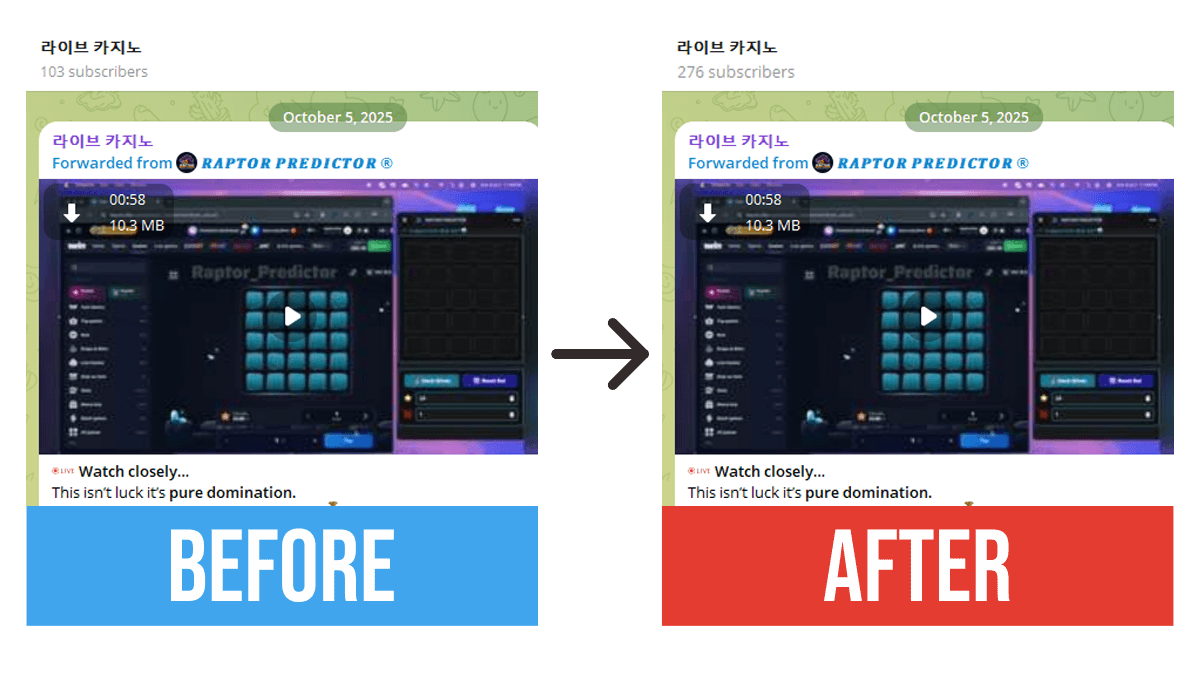 50 Free Telegram Subscribers - Before and After