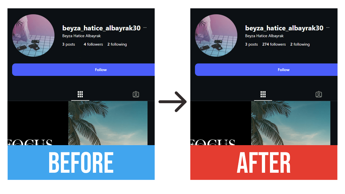 10 Free Instagram Followers - Before and After