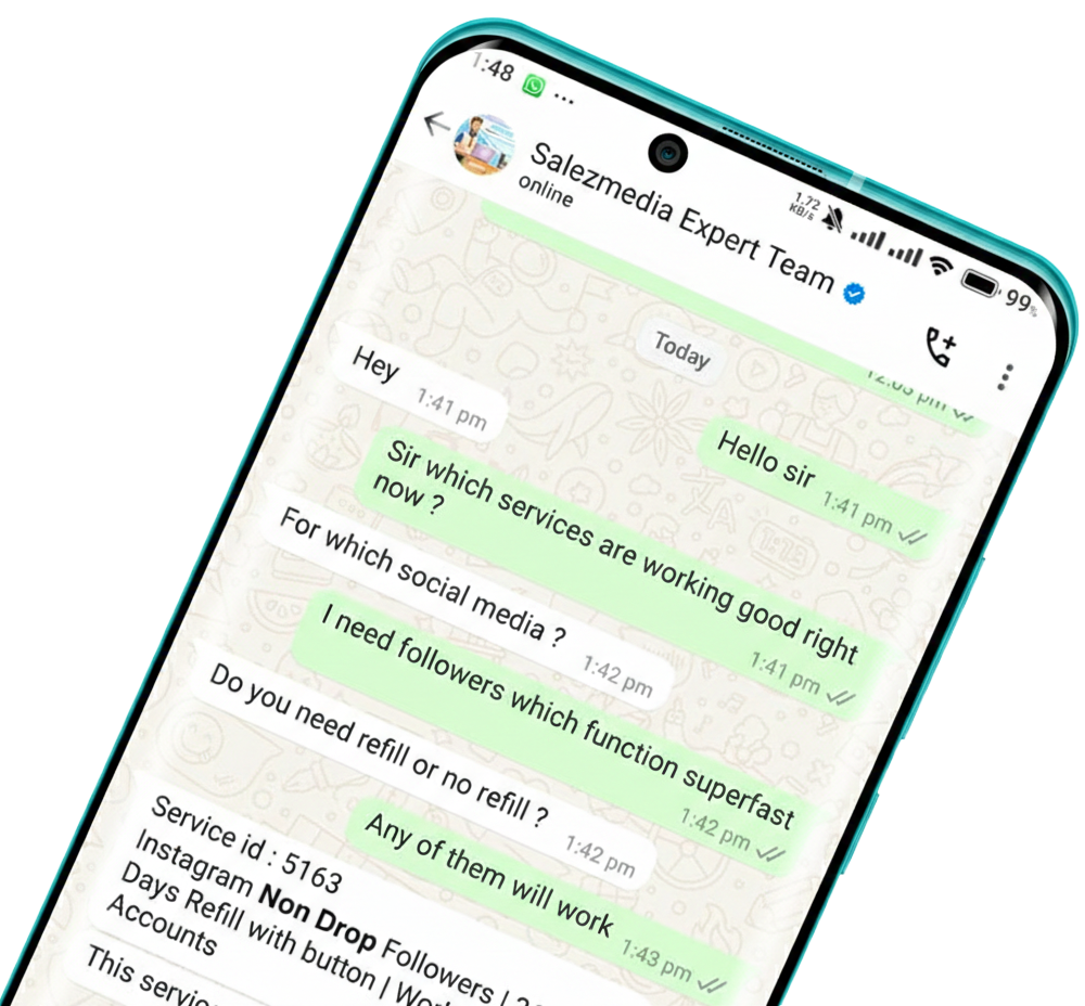 Expert Consultation Interface