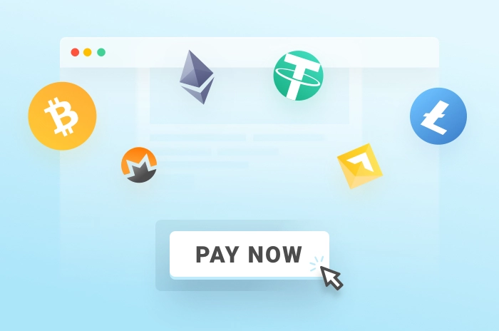 The best cryptocurrency payment methods for SMM panels