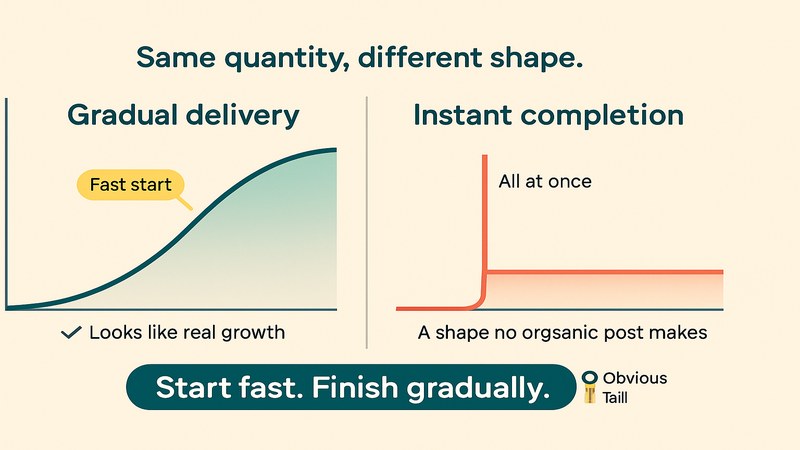 How gradual delivery looks like real growth while instant completion makes an obvious spike — FastGrow delivers social media services with controllable delivery