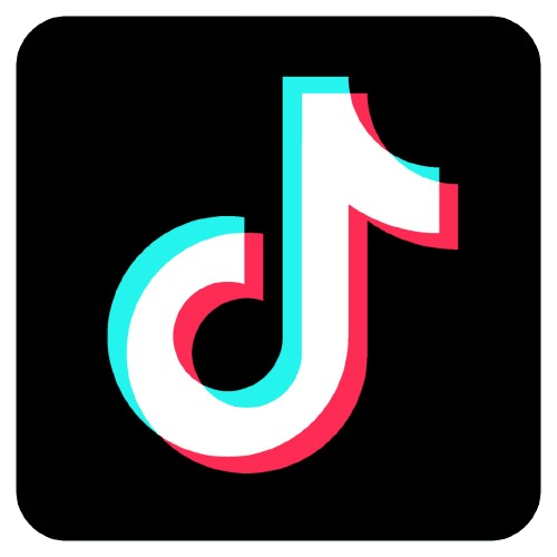 🌐 TikTok Followers