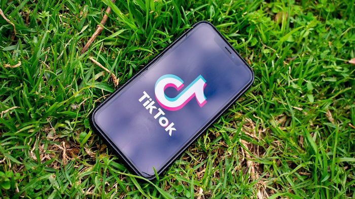 TikTok: Estratégias de Conteúdo para Converter Visualizações em Seguidores