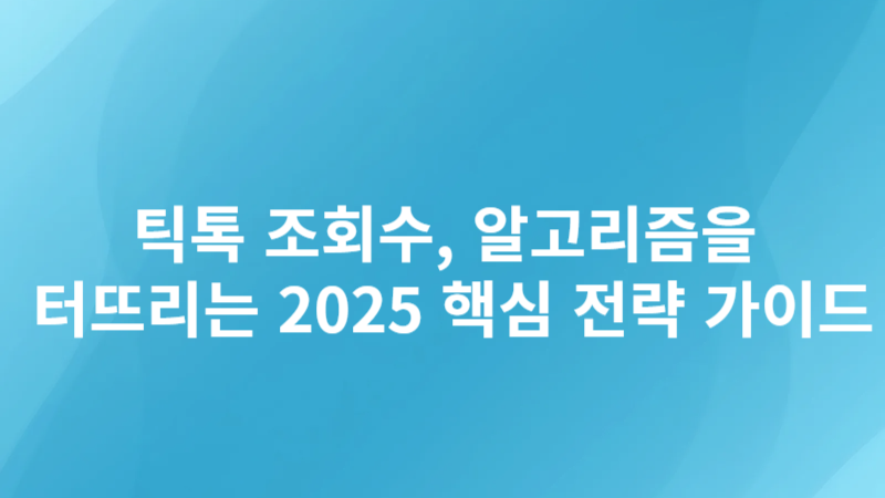 틱톡 조회수, 알고리즘을 터뜨리는 2025 핵심 전략 가이드