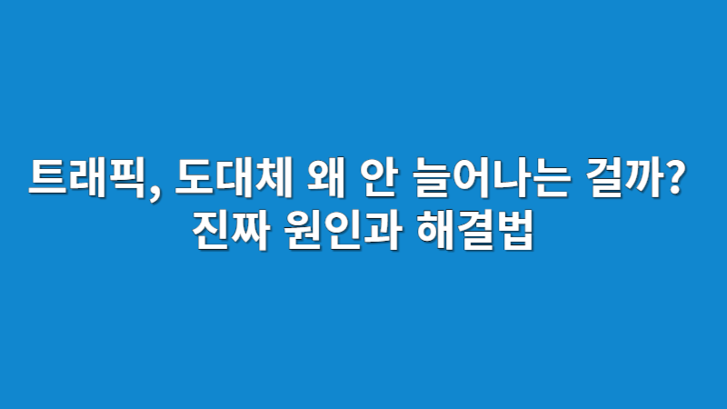 웹사이트와 블로그 트래픽 늘리기 전략 2025 | 검색유입부터 SNS까지