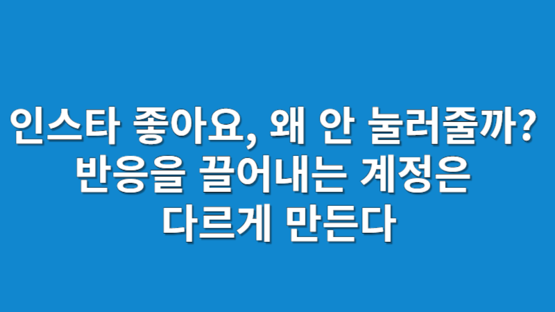 인스타그램 좋아요 늘리기 전략 2025 | 노출 구조와 콘텐츠 흐름 분석