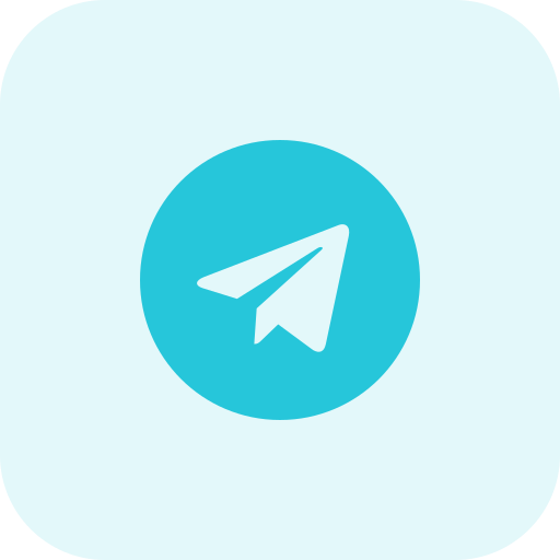 Telegram Bot Starts