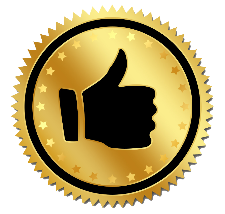 Seguidores Com Melhor Qualidade CHEGA RÁPIDO Testado Por Mim✅👈 ✅