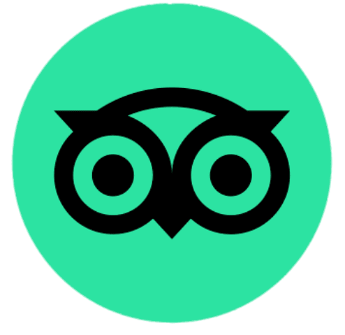Tripadvisor → English Services