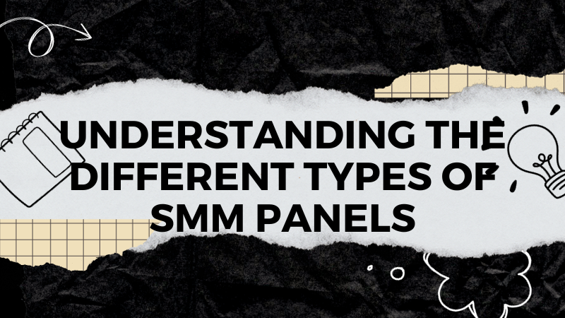 Unveiling the Diversity of SMM Panels: A Comprehensive Guide