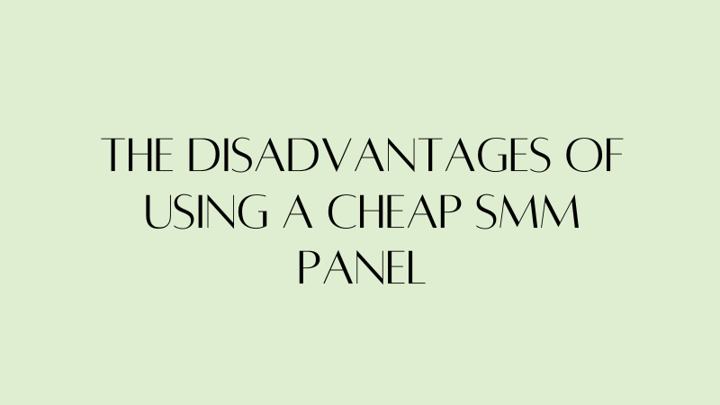 The Disadvantages of Using a Cheap SMM Panel