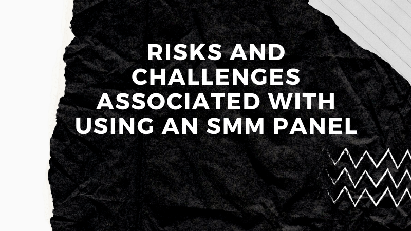 Navigating the Social Media Landscape: Risks and Challenges of SMM Panels Unveiled