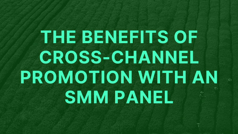 Maximizing Reach: Unveiling the Benefits of Cross-Channel Promotion with an SMM Panel