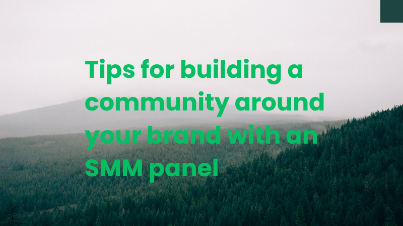 Unlocking Success: Tips for Building a Thriving Community Around Your Brand with an SMM Panel