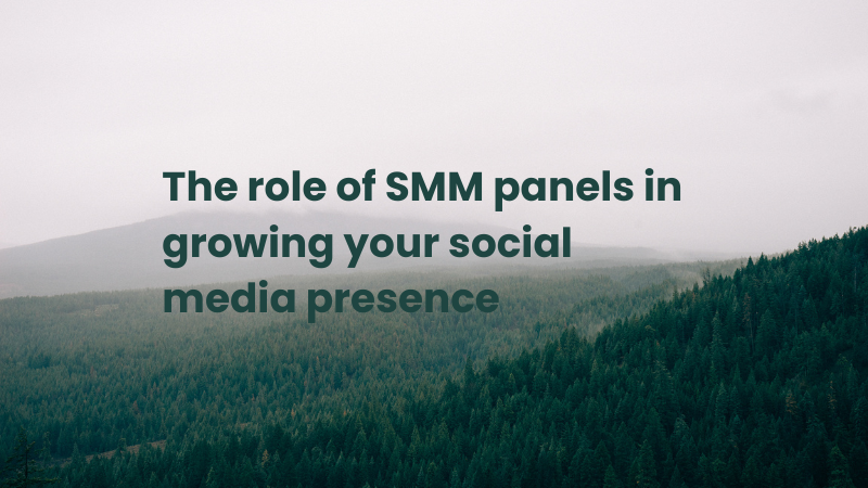 Amplify Your Online Presence: The Role of SMM Panels in Growing Your Social Media Influence