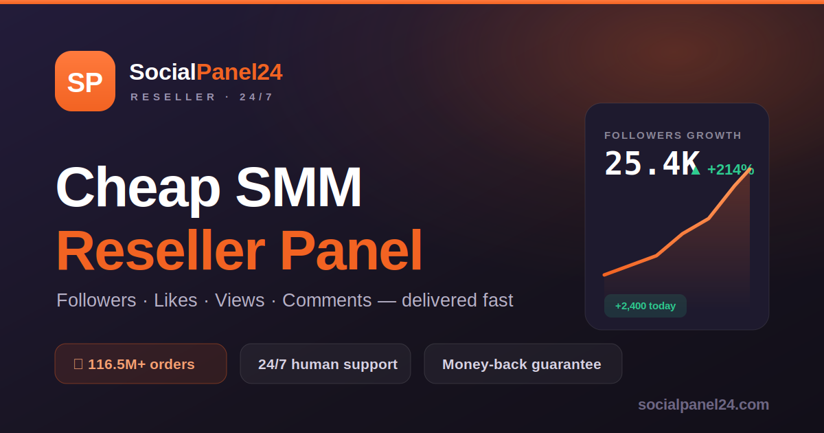 socialpanel24.com