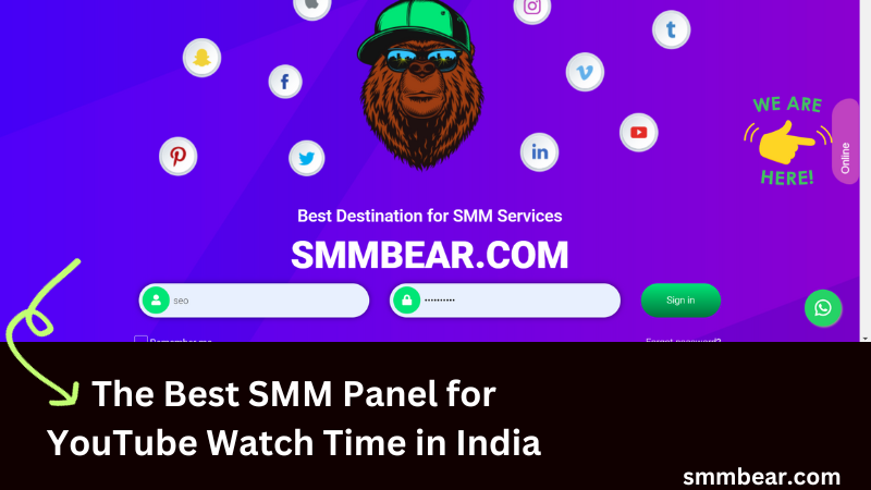 The Best SMM Panel for YouTube Watch Time in India