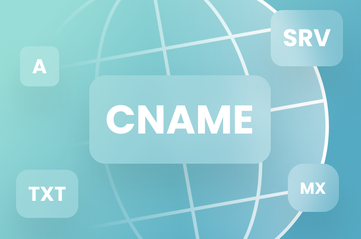 What are DNS records and how to manage them in Perfect Panel