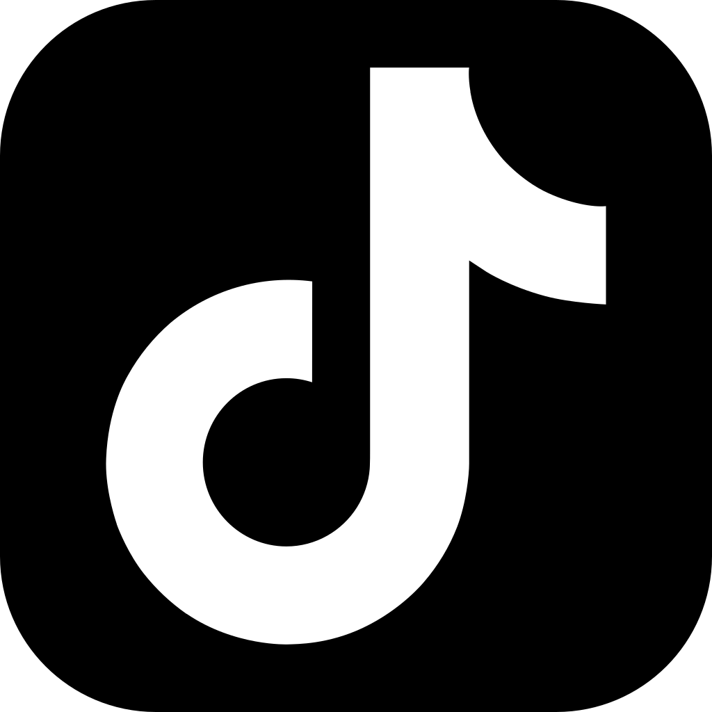 TikTok 关注者 粉丝