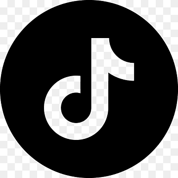 ▸ 𝗧𝗜𝗞𝗧𝗢𝗞 - Seguidores Brasileiros