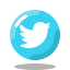 Twitter ( X ) - Followers
