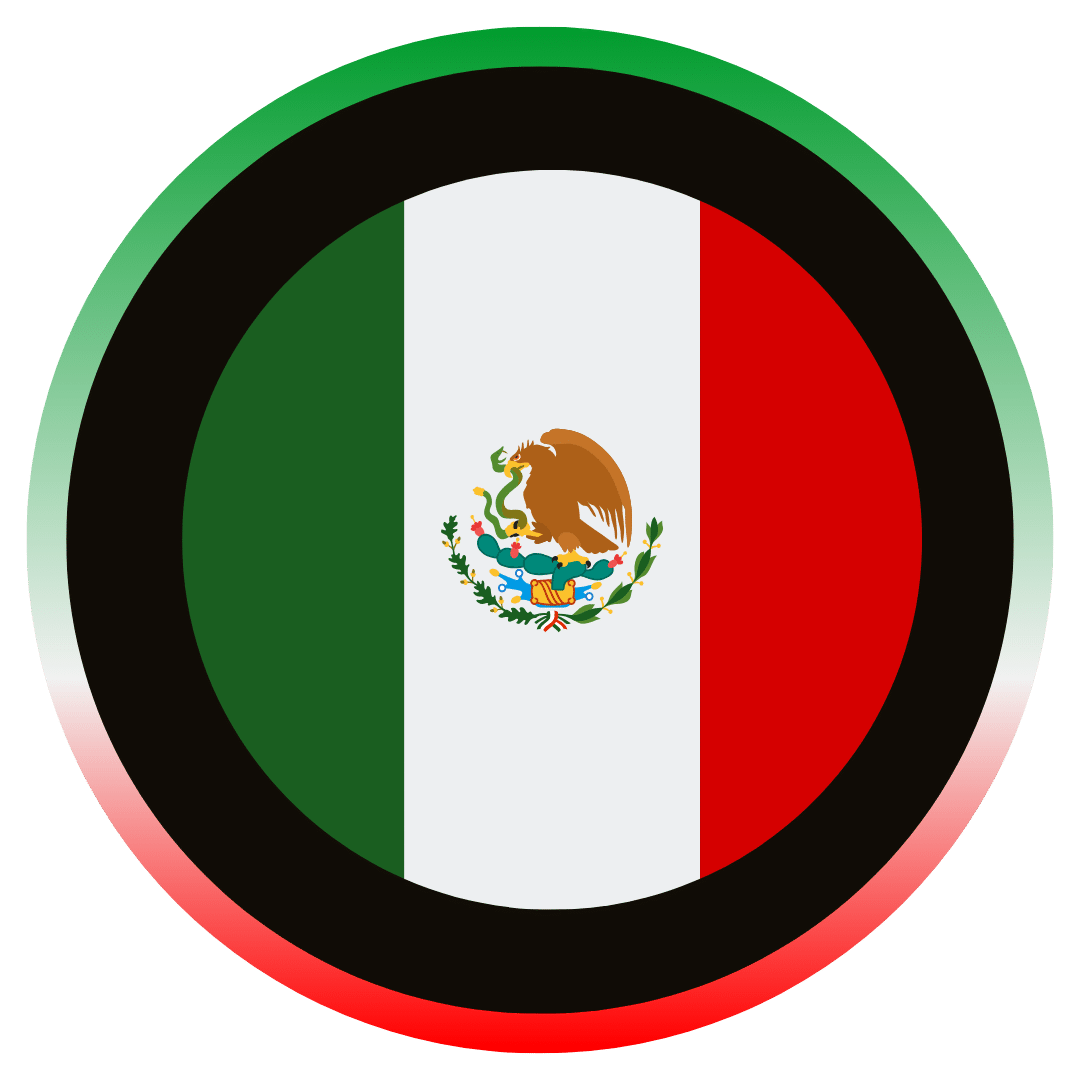 Website Traffic - Mexico + Referrer