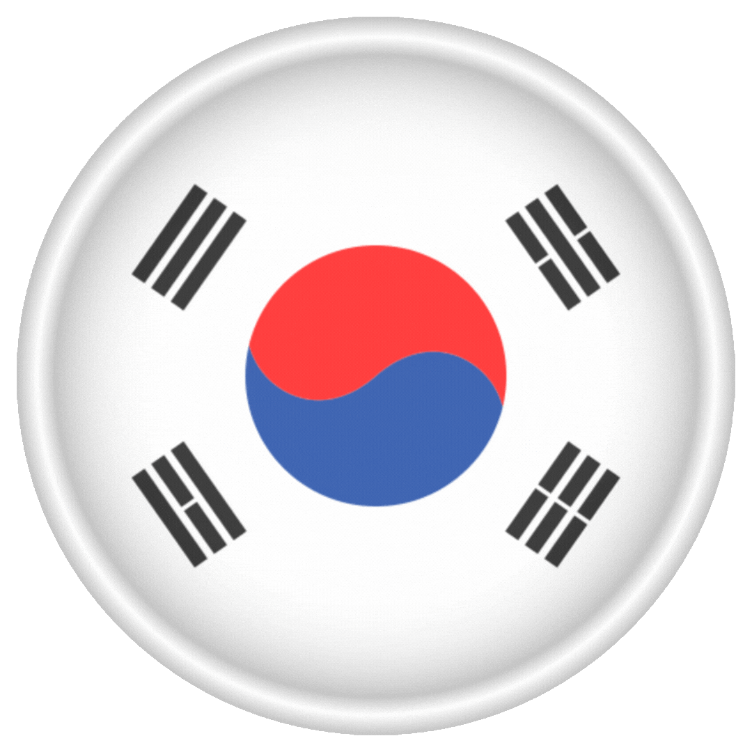 Website Traffic - South Korea + Referrer