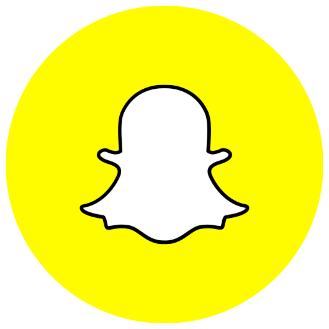 Snapchat - Organic Followers