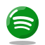 Spotify - Followers