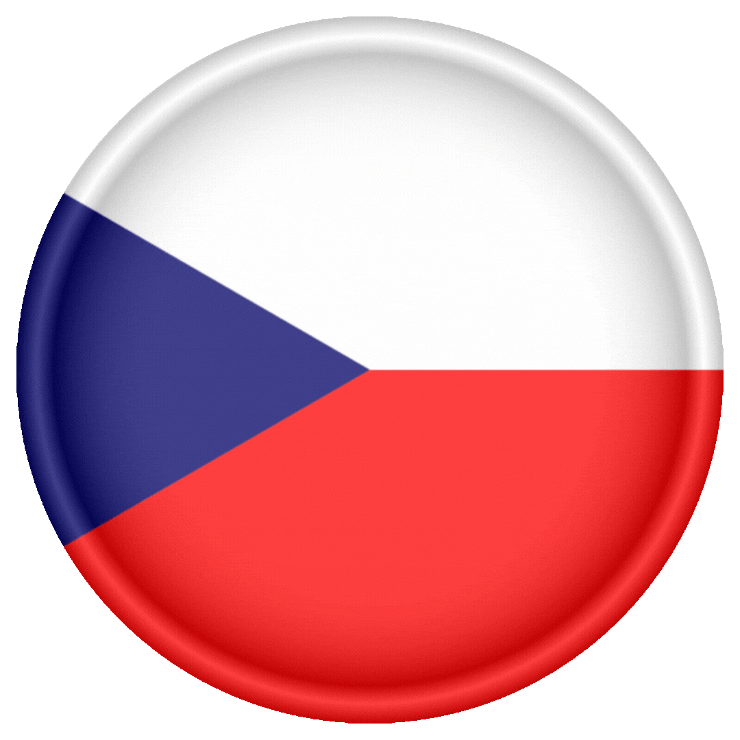 Website Traffic - Czech Republic + Referrer