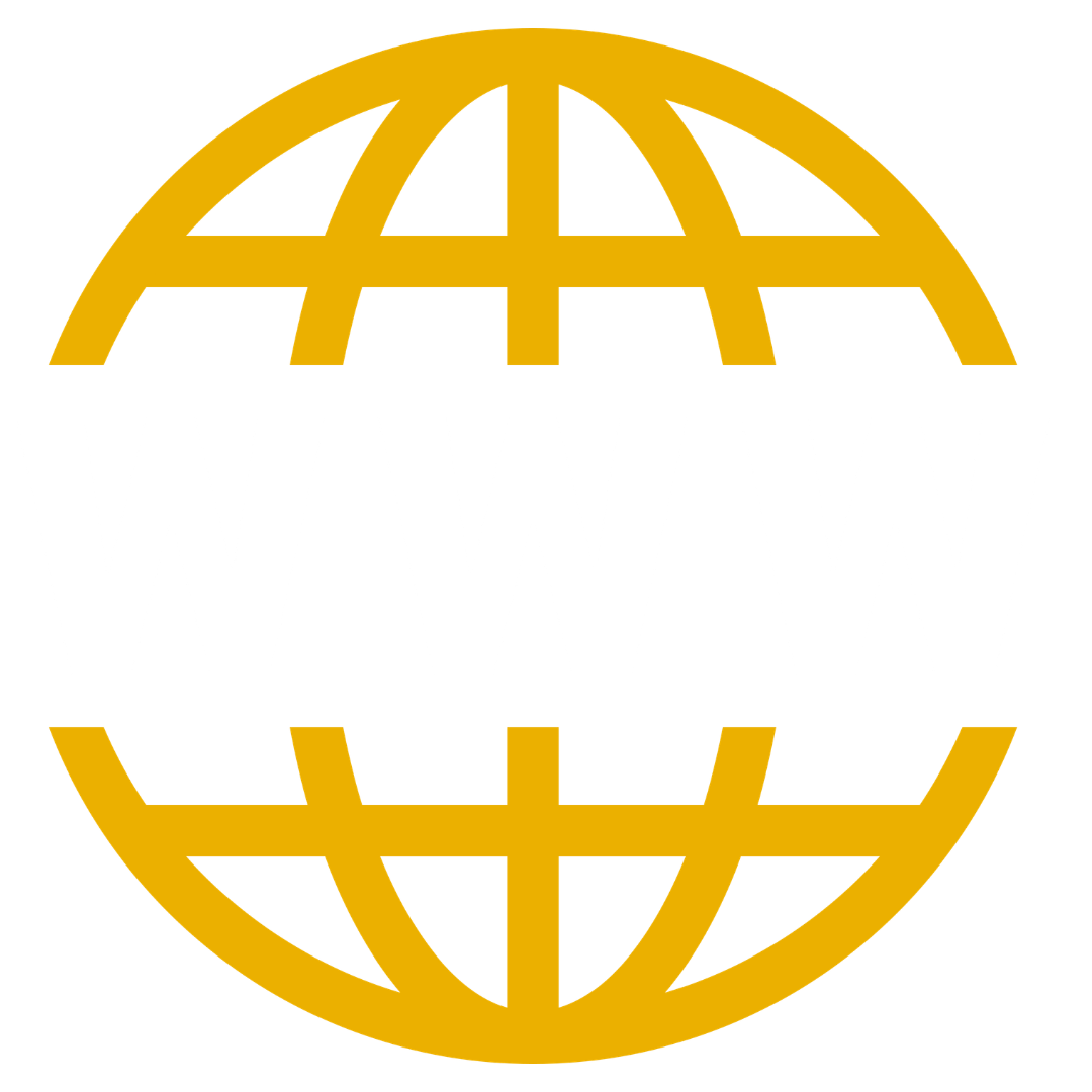Website Traffic Services