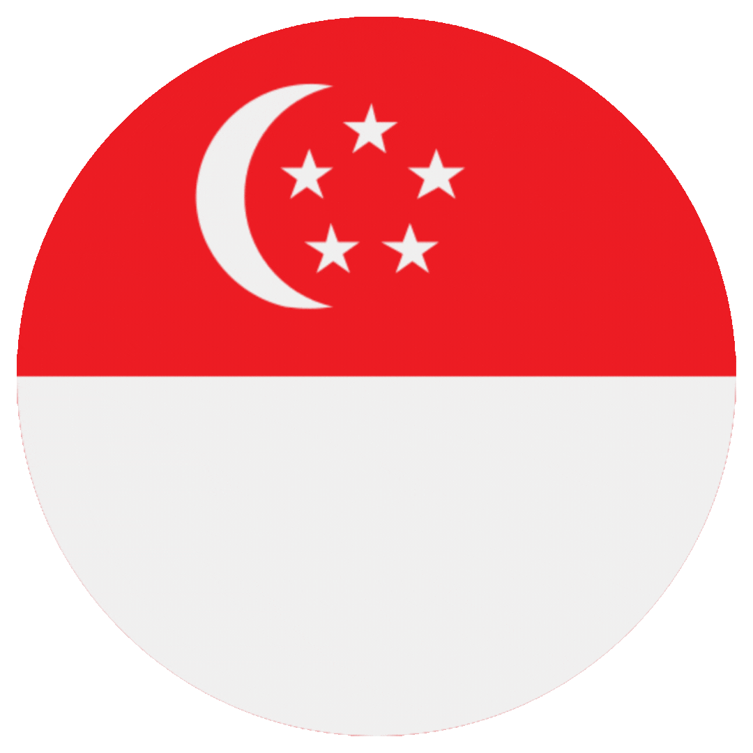 Website Traffic - Singapore + Referrer