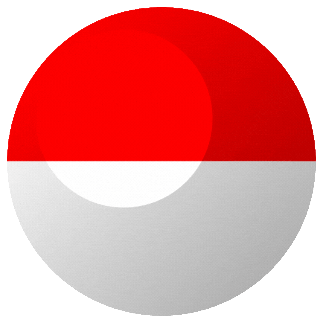Website Traffic - Indonesia + Referrer