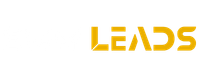 SMM LEADS