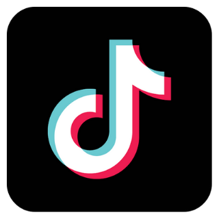 TikTok Followers [ No Refill ]