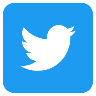 Twitter Followers [ Premium ]