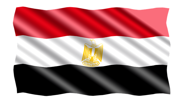 موقع المتابعين , متابعين , فولوبلس , 