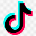 TikTok Video Views + Share