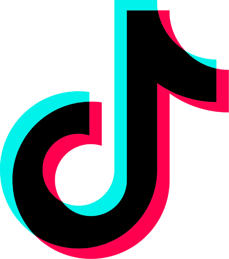 Tiktok Followers [ 𝔸𝕣𝕒𝕓𝕚𝕔 ]
